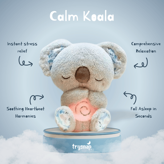 Calm Koala